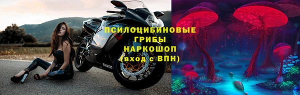 гидропоника Тавда