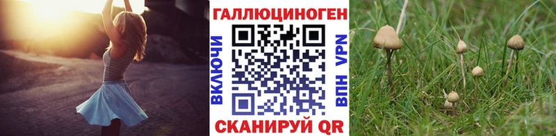 Псилоцибиновые грибы Psilocybine cubensis  мега   Кирс 